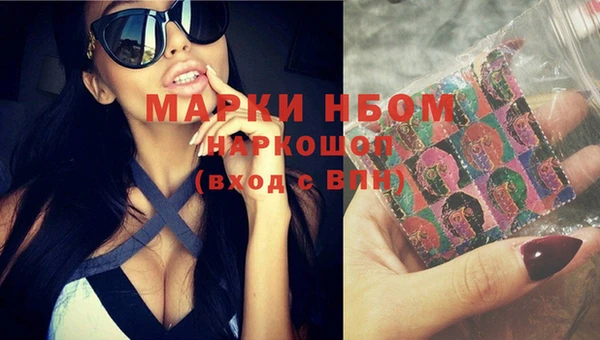 ГАЛЛЮЦИНОГЕННЫЕ ГРИБЫ Покровск