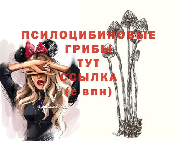 ГАЛЛЮЦИНОГЕННЫЕ ГРИБЫ Покровск
